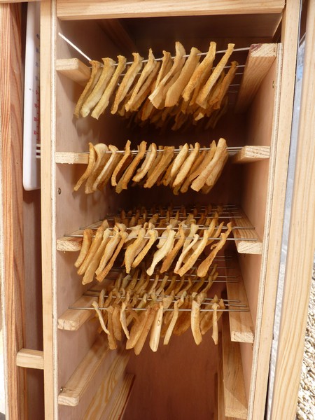 Pommes dans le Séchoir à Fruits Solaire