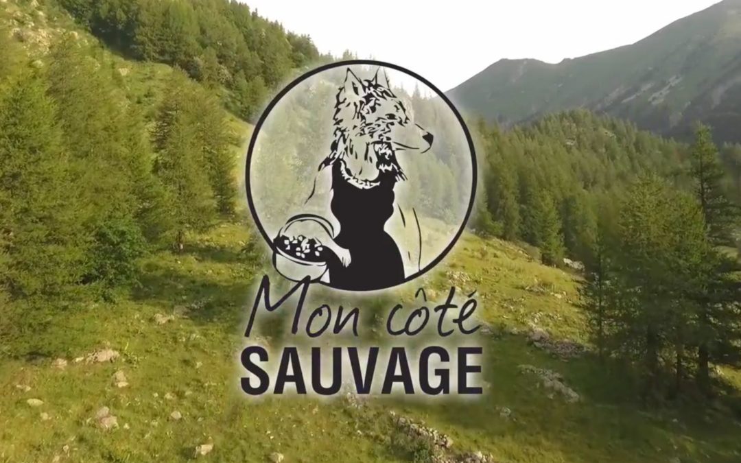 Kit Sechoir Solaire dans « Mon côté sauvage »